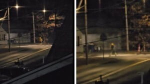 Connecticut Neighborhood Menace Wakes Up Entire Street Blasting Leaf Blower at Midnight