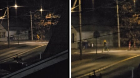 Connecticut Neighborhood Menace Wakes Up Entire Street Blasting Leaf Blower at Midnight