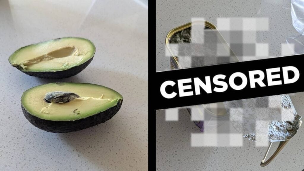 Disgusted Denver Customer Discovers Maggots Inside a SPAM Can: ‘The Nastiest Thing I’ve Seen Today’ Denver Maggots can