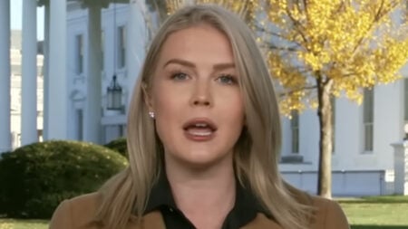 ICE Arrested Karoline Leavitt’s Extended Family Member in Louisiana: ‘THE CONSEQUENCES OF YOUR OWN ACTIONS!’ ICE Arrested Karoline Leavitt's Extended Family Member in Louisiana