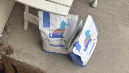 Minnesota DoorDash Driver Replaces Starbucks Order With Kitty Litter