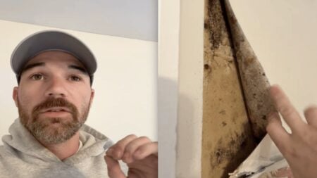 New Jersey Home Inspector Drags House Flippers, Calling Them Criminals