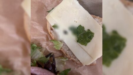 Panera Sandwich with Fly Inside