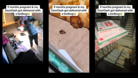 Pregnant Oklahoma Woman Races Out of Her Home With Her Papa John’s Order After Finding ‘Bedbug’ in Her Pizza: ‘Literally Got Goose Bumps’ Pregnant Tulsa Woman Papa Johns Pizza Bedbug