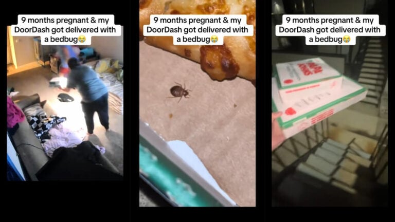 Pregnant Oklahoma Woman Races Out of Her Home With Her Papa John’s Order After Finding ‘Bedbug’ in Her Pizza: ‘Literally Got Goose Bumps’ Pregnant Tulsa Woman Papa Johns Pizza Bedbug