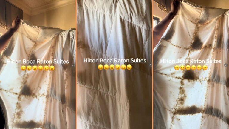 Shocked Florida Travelers Discover Disgusting Duvet at Hilton Hotel 'Trust Me Those Are Not Feathers'