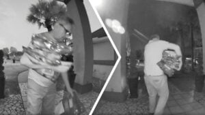 Tennessee DoorDash Driver Drops Off Pet Food Order, Only To Return and Steal It