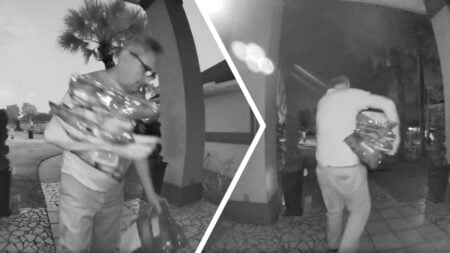 Tennessee DoorDash Driver Drops Off Pet Food Order, Only To Return and Steal It