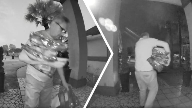 Thieving Tennessee DoorDash Driver Drops Off Pet Food Order, Only To Return and Steal It 15 Minutes Later: ‘Absolutely Unacceptable’ Tennessee DoorDash Driver Drops Off Pet Food Order, Only To Return and Steal It