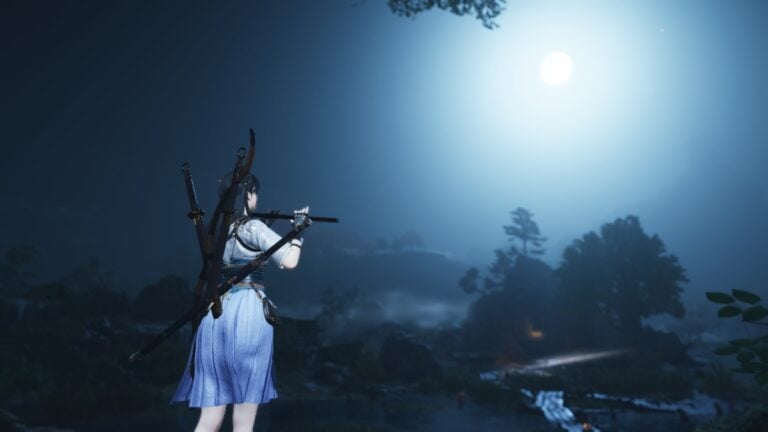 Where Winds Meet Review – The Ultimate Wuxia Experience Where Winds Meet PS5 Review