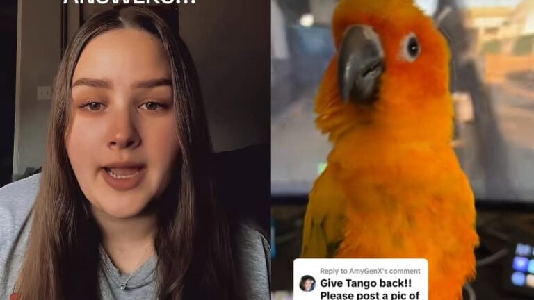 A picture of the California girl and her bird.