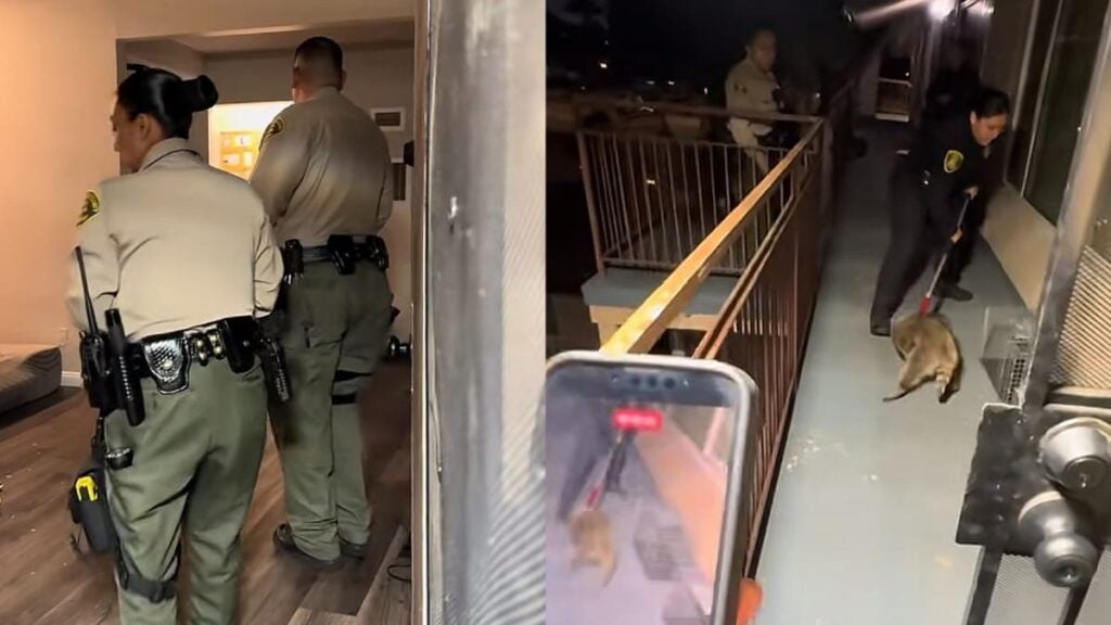 A picture of the California woman's apartment.