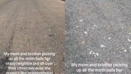 Unhinged California Woman Attempts to Poison Neighborhood Pets by Scattering Mothballs Across the Street: ‘Call the Police’ A picture of the California woman's street.