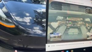 A picture of the Florida woman's car.