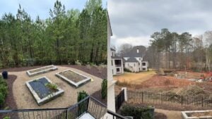 A picture of the Georgia family's trees.