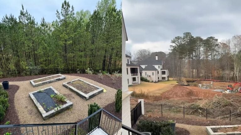 A picture of the Georgia family's trees.