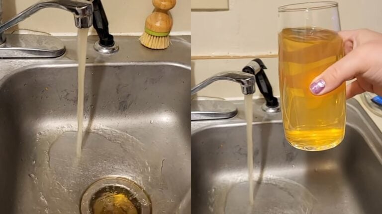 A picture of the Michigan woman's tap water.