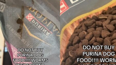 Disgusted California Woman Exposes Purina After Finding Worms Inside a Bag She Bought: ‘Purina Dog Food Is Bad!!!’ A picture taken by the California woman.