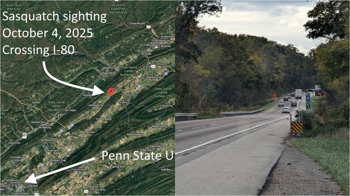 Bigfoot sighting in Pennsylvania