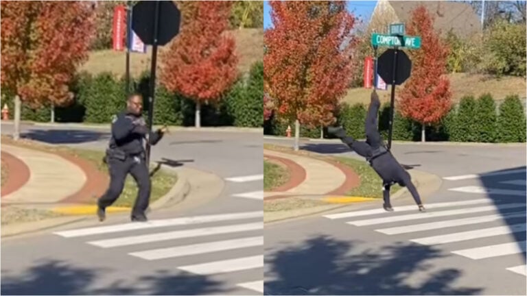 crosswalk safety video