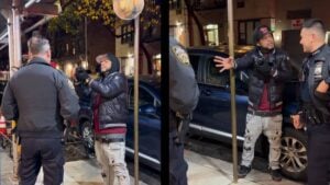 new York professional morons