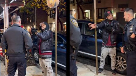 new York professional morons