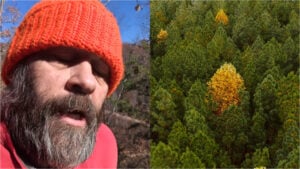 retirement property tax trap