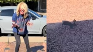 Arizona Woman Freaks Out At Bunny Hiding In Neighbor's Dryer Vent