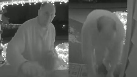 Pulled Pork Porch Surprise Turns California Man Into Internet Favorite in Viral Clip: ‘Why Am I Tearing Up?’ California Man Surprises Neighbor With Pulled Pork