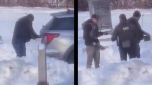 Chicago ICE License Plates