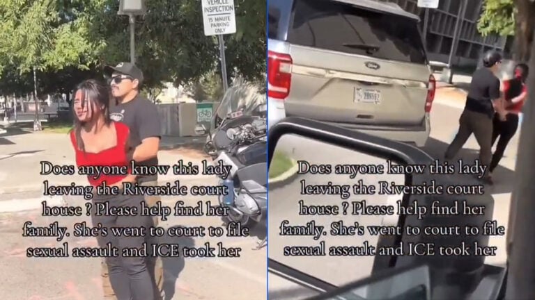 Distraught California Woman Detained by ICE, 'All while grinning like the Grinch who stole Christmas,' Just Before She Could Report SA