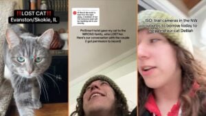 Irresponsible Illinois PetSmart Reportedly Loses Customer's Cat 'They Stole Your Cat'