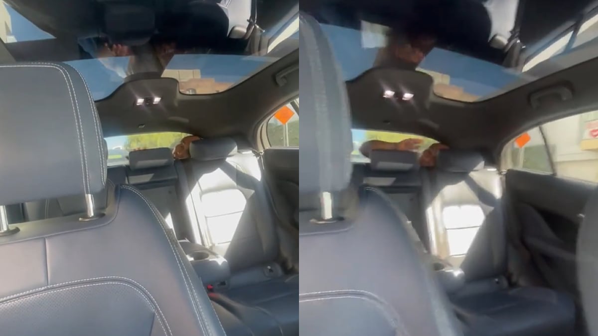 Los Angeles Woman Finds Creepy Man Hiding in Trunk of Her Waymo: ‘Oh That’s Terrifying’