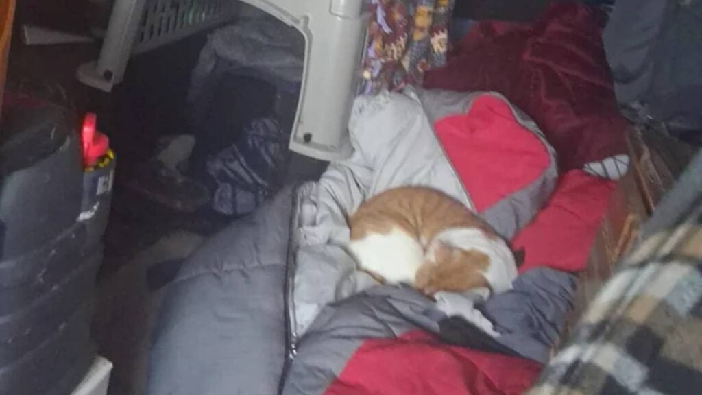 Surviving Michigan’s Arctic Freeze: A Homeless Resident Shows Their Reality, ‘Must Suck With a Litter Box’ Michigan Homeless Sub-Zero