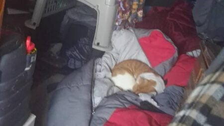 Surviving Michigan’s Arctic Freeze: A Homeless Resident Shows Their Reality, ‘Must Suck With a Litter Box’ Michigan Homeless Sub-Zero