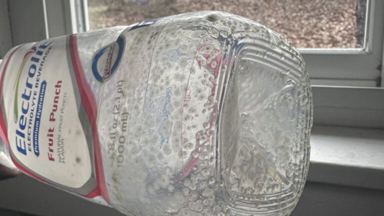 Pennsylvania Woman Shocked to Discover She's Been Drinking Moldy Water