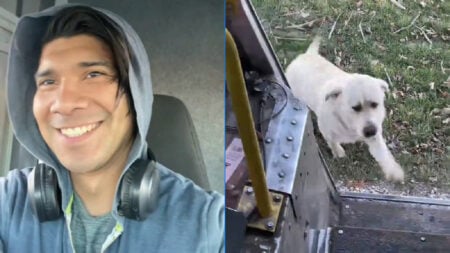 Sweetest Dog in Illinois Makes This FedEx Driver's Day the Most Heartwarming Part of Work