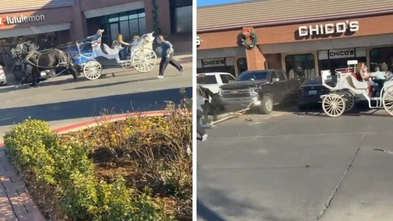Christmas Carriage Loses Control in Texas