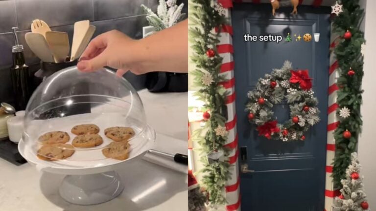 Texas Woman Sets Up Cookie And Eggnog Station For Neighbors