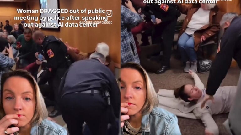 Shocking Video Shows Woman Dragged Out of Port Washington Meeting Over AI Data Center: ‘City Legislators 100% Took Kickbacks’