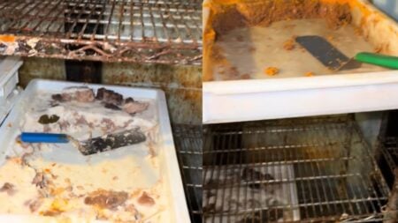 Washington Woman Served Awful Meal at Mexican Restaurant, Sneaks Into the Kitchen and Discovers a Disgusting Surprise: ‘Call ICE Asap’ A picture inside the Washington restaurant.