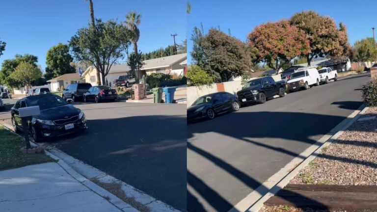 California Woman Livid as Mexican Neighbors Cram 27 People Into One House and Take Over the Entire Street with Their Cars: ‘Call ICE’ A picture of the California woman's street.