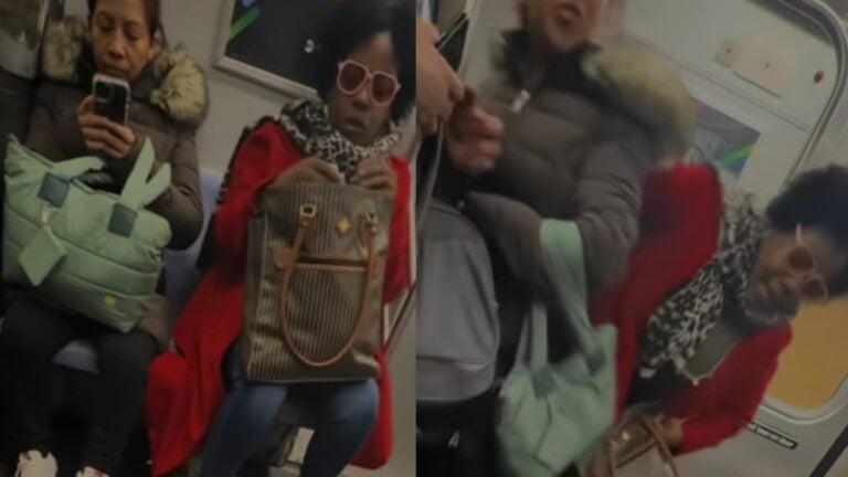 Racist Black New York Woman Harasses Hispanic Passenger on Train and Forces Her to Stand: ‘This Is Truly Sad to Watch’ A picture of the New York woman.