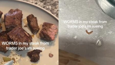 Trader Joe’s Horror as Florida Woman Discovers Worms in Steak She Bought There: ‘You Should Actually Sue’ A picture taken by the Florida woman.