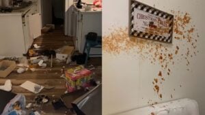 A picture taken by the South Carolina woman.