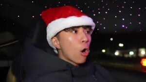 Georgia streamer no seatbelt