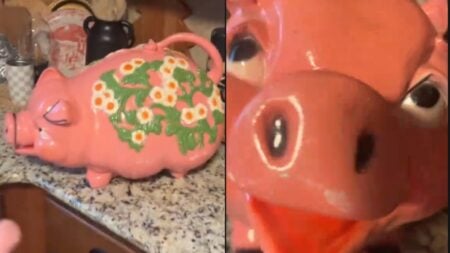 Texas woman finds cash in thrifted piggy bank
