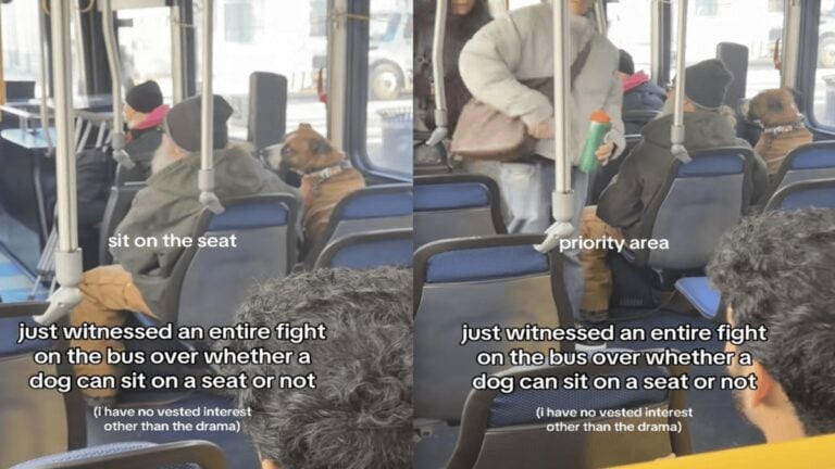 Agitated Bus Driver and Elderly Man Fight Over Whether or Not His Service Dog Should Sit in a Seat in Washington, DC