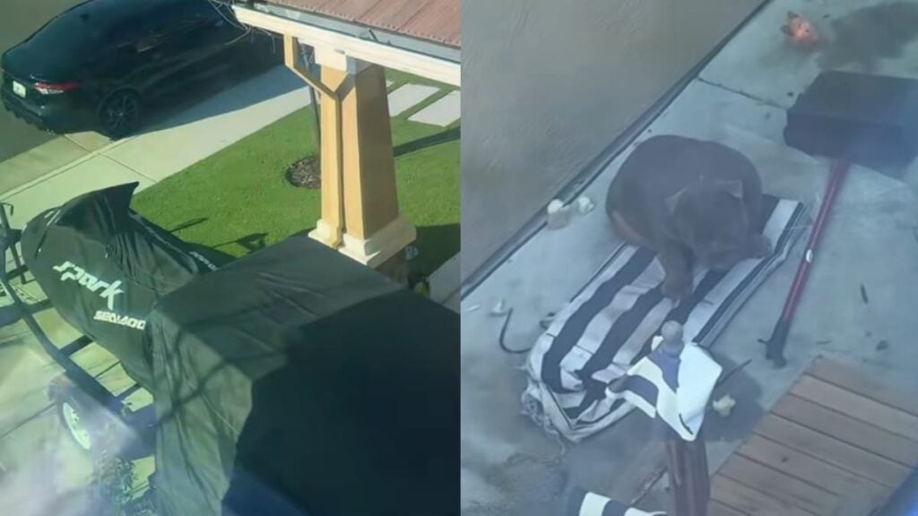 California Dog Left In Side Yard All Day