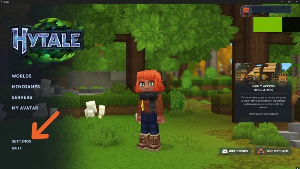 Hytale settings